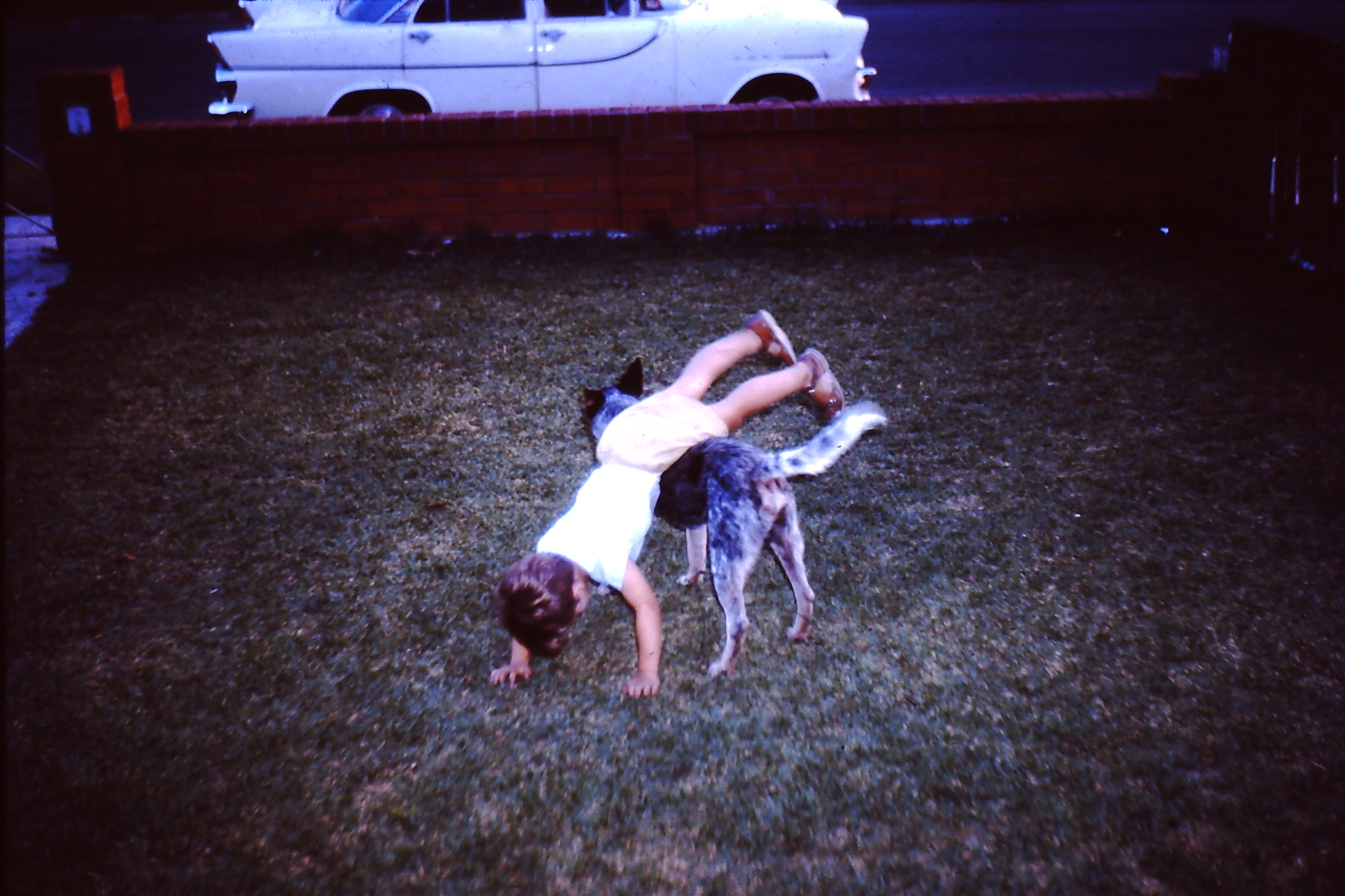 Bluey and me on the front lawn